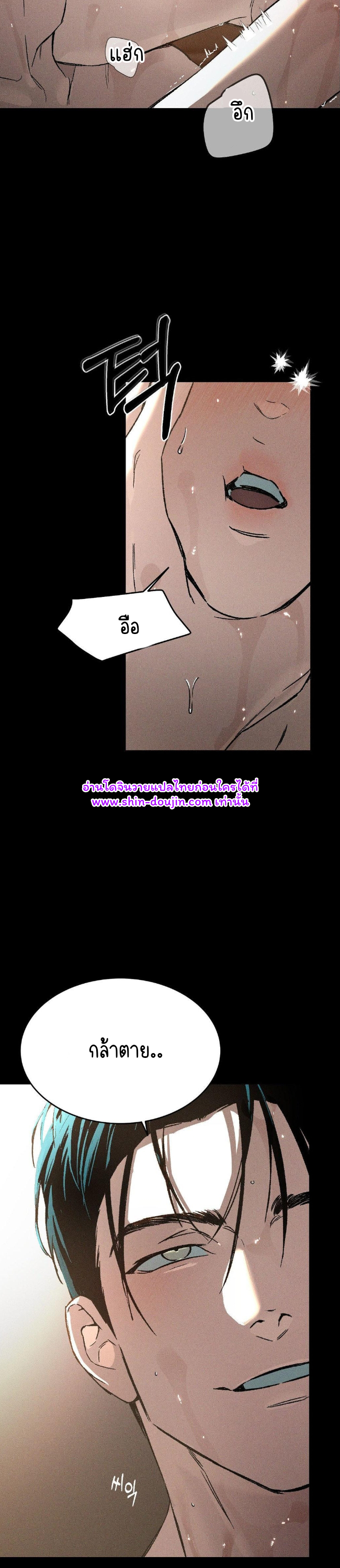 Concealment EP 4